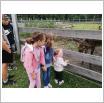 Galeria zdjęć: Wycieczka dzieci ze Szczukocic do Leśnej Osady Edukacyjnej w Kole. Link otwiera powiększoną wersję zdjęcia.
