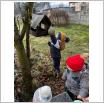 Galeria zdjęć: Dokarmiamy ptaki realizacja zajęć w Samorządowym Klubie Dziecięcym w Gorzkowicach. Link otwiera powiększoną wersję zdjęcia.