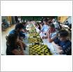 Galeria zdjęć: Turnieje szachowe. Link otwiera powiększoną wersję zdjęcia.